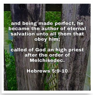 Hebrews 5:9-10 Bible Poster ShellMiddy Hebrews 5:9-10 Bible Poster Posters, Prints, & Visual Artwork enhanced-matte-paper-poster-_in_-18x18-front-62d5b542bb500 enhanced-matte-paper-poster-in-18x18-front-62d5b542bb500-3