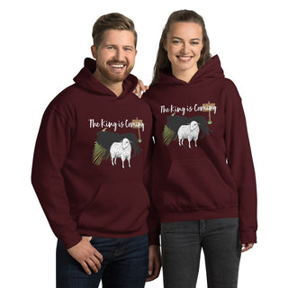 The King Is Coming Hoodie ShellMiddy The King Is Coming Hoodie Coats & Jackets unisex-heavy-blend-hoodie-maroon-front-6318152b0d8a8 unisex-heavy-blend-hoodie-maroon-front-6318152b0d8a8-9