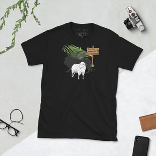 Black T-shirt with The King Is Coming lion, lamb and palm design, laid flat beside a camera and glasses
