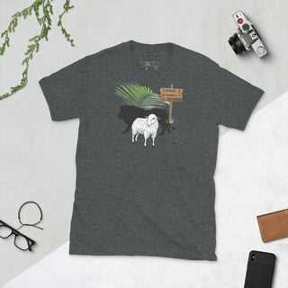 Dark gray T-shirt with The King Is Coming lion, lamb and palm design, laid flat beside a camera and glasses